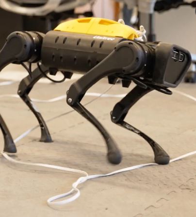 This Robot Dog Has an AI-Brain and Taught Itself to Walk